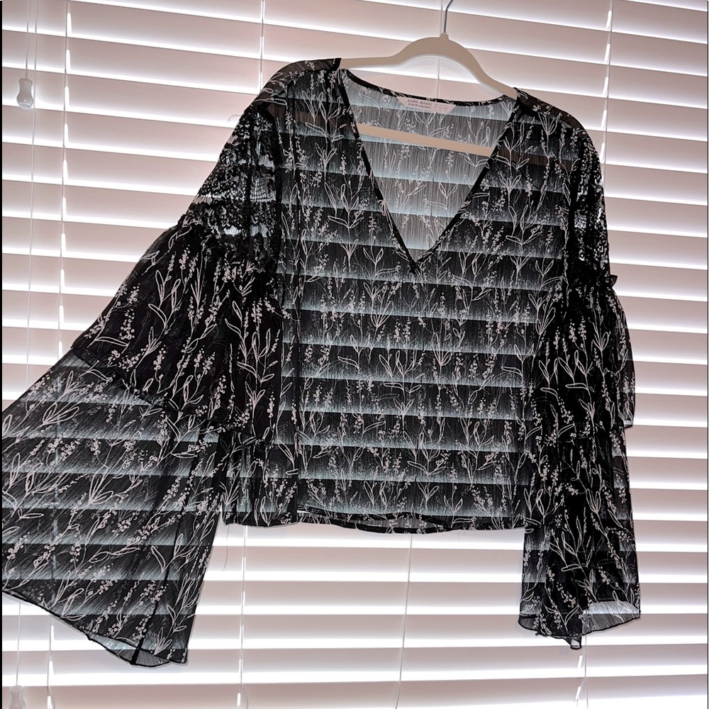 Sheer blouse from Zara size large